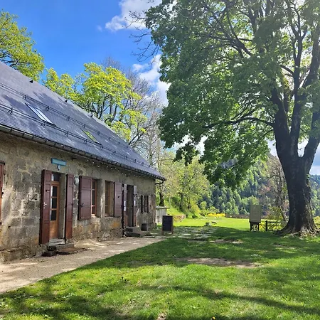 Alojamento de Acomodação e Pequeno-almoço D'arviere 3*